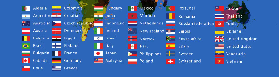 国外社媒运营小语种网站建设  第1张