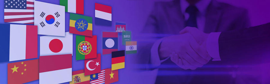 国外社媒运营小语种网站建设  第2张